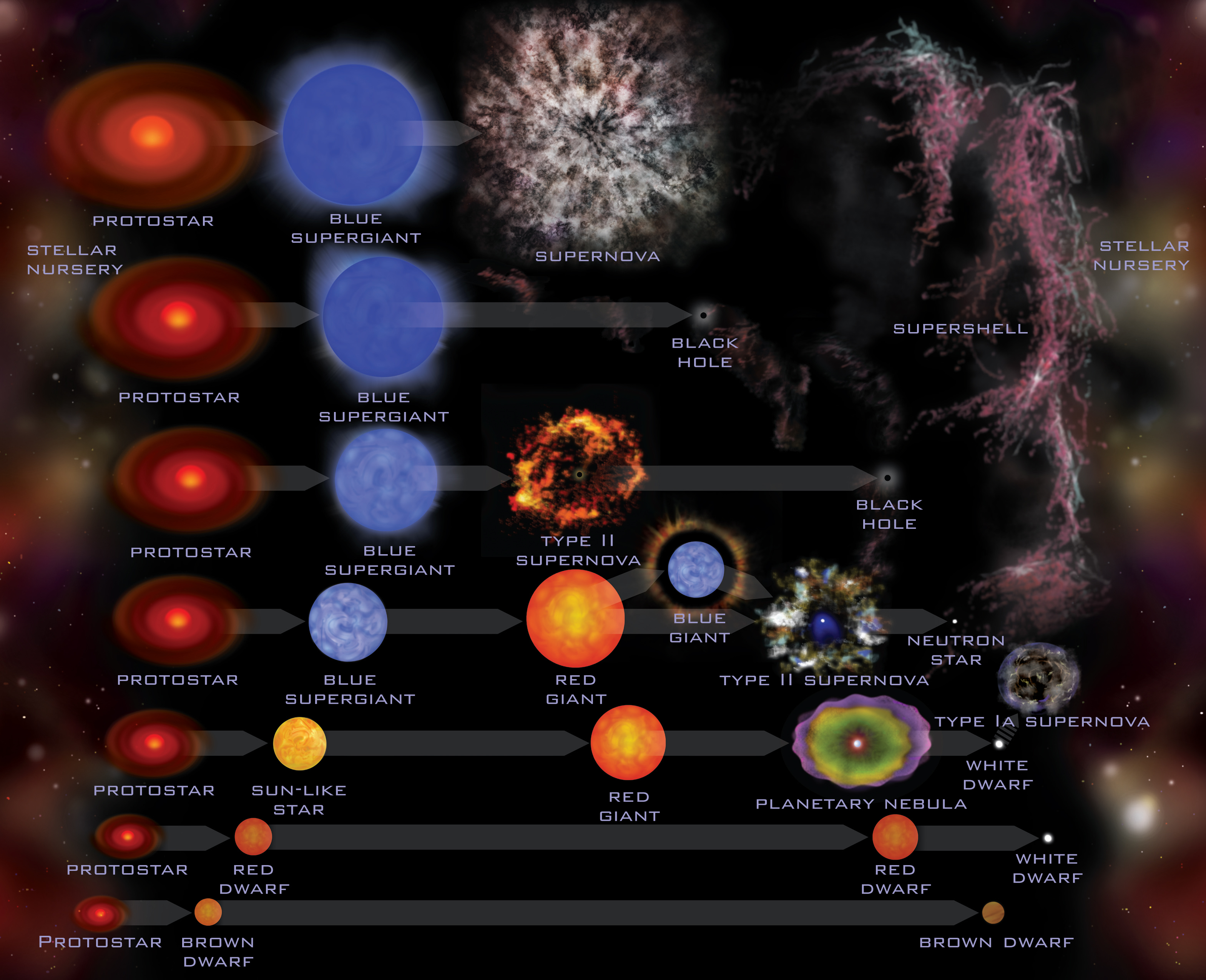 Stellar Evolution