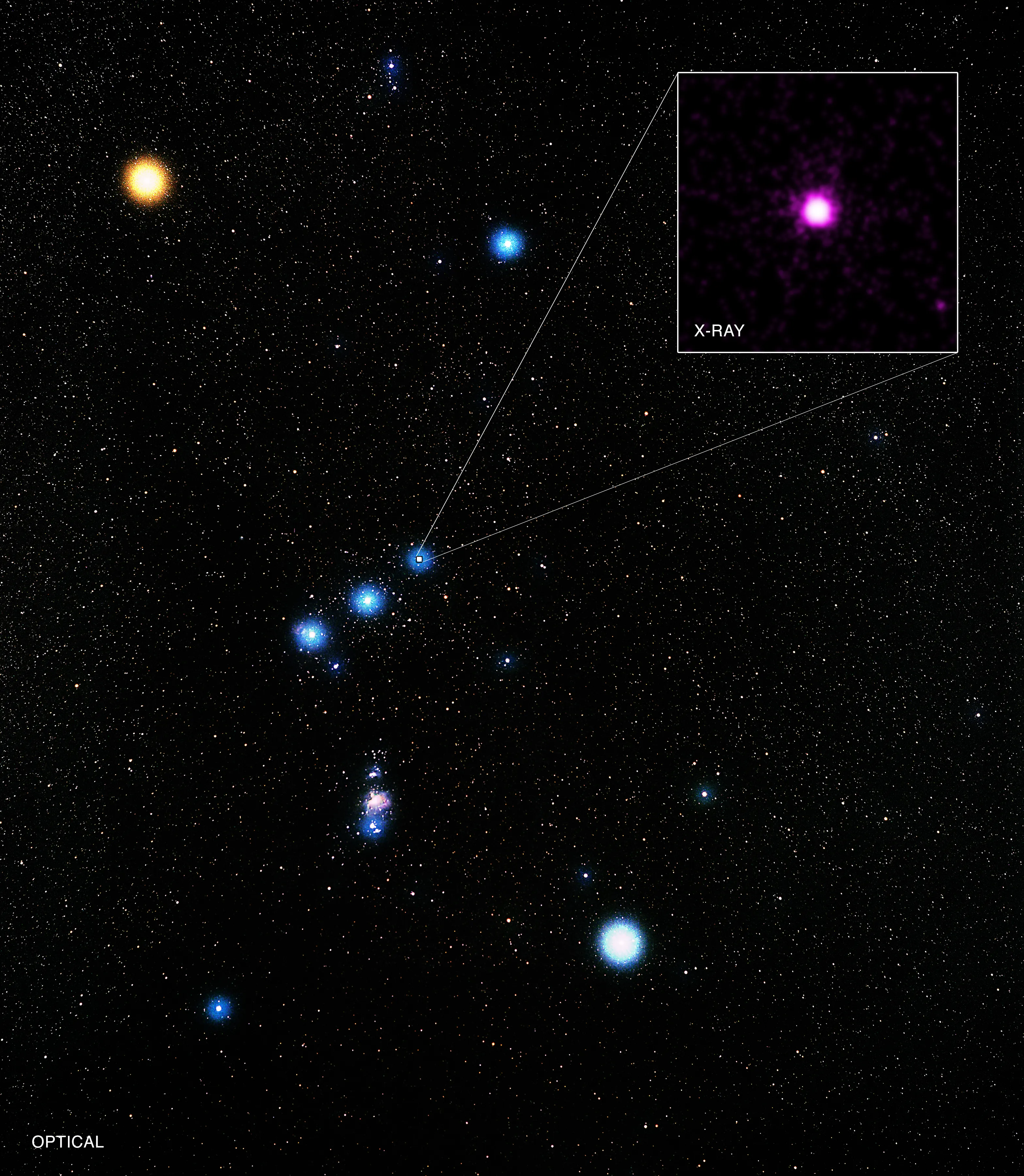 Vivid True Color Photo of Orion