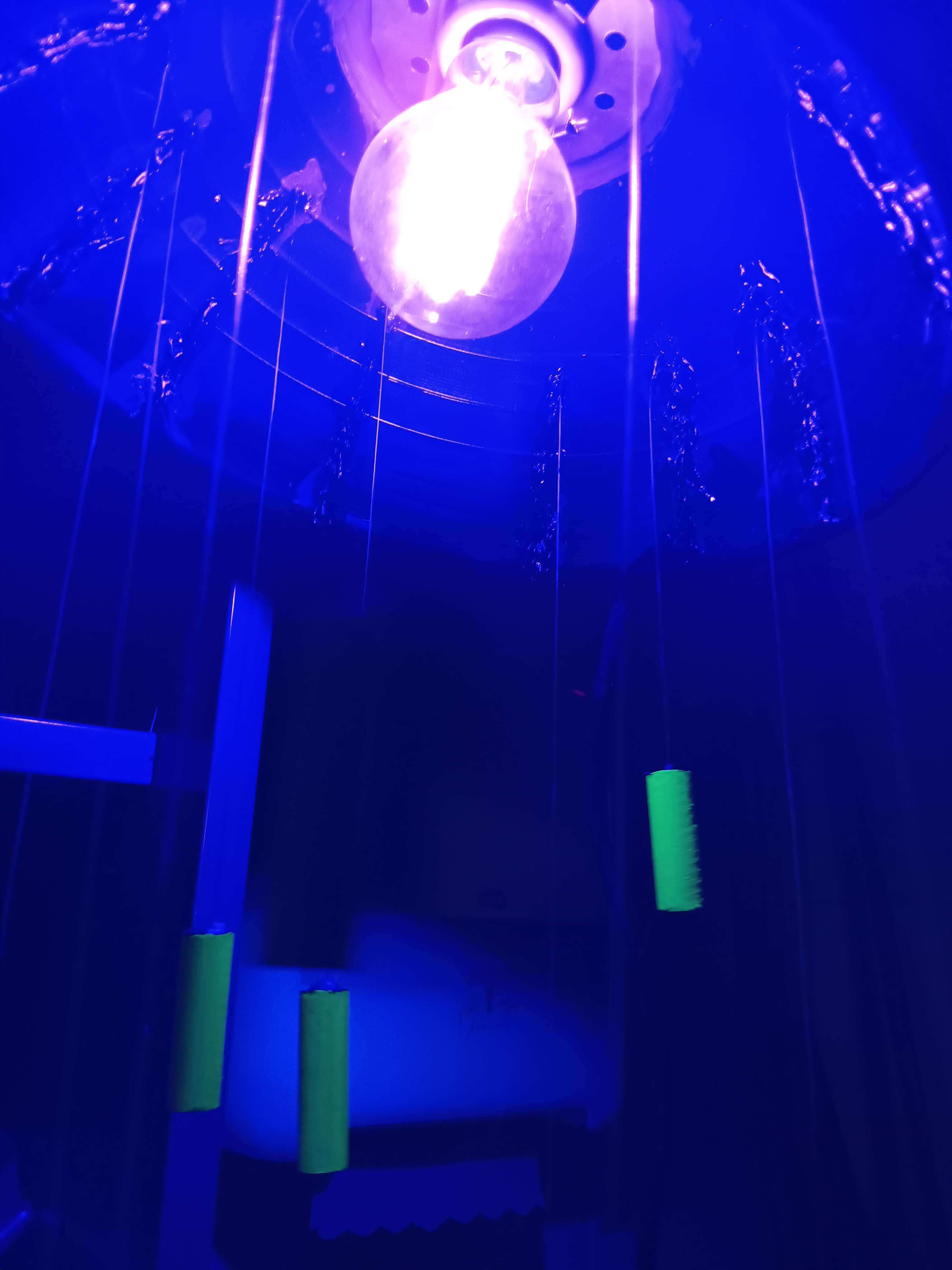 A blacklight bulb surrounded by glowing neon green rods