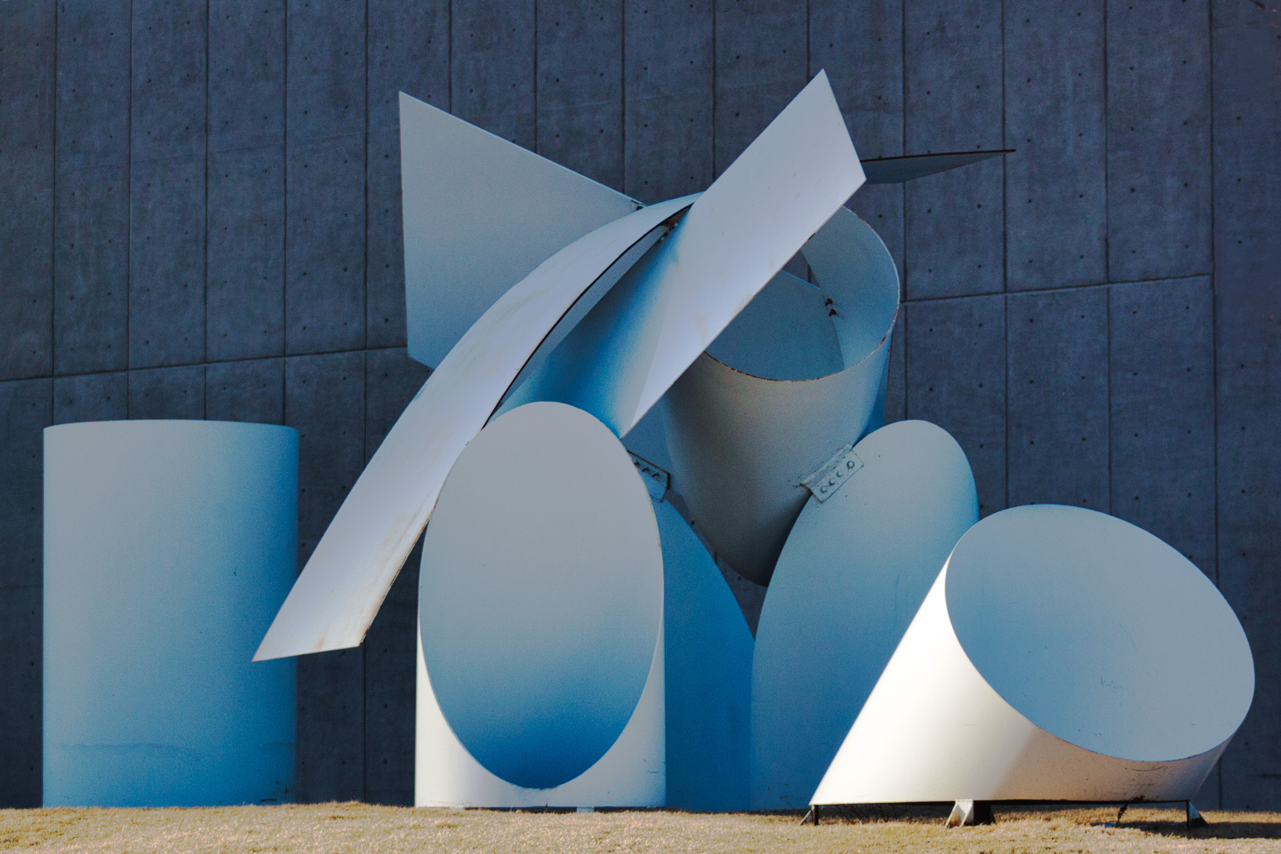 A big cherry blossom tree standigng in grass