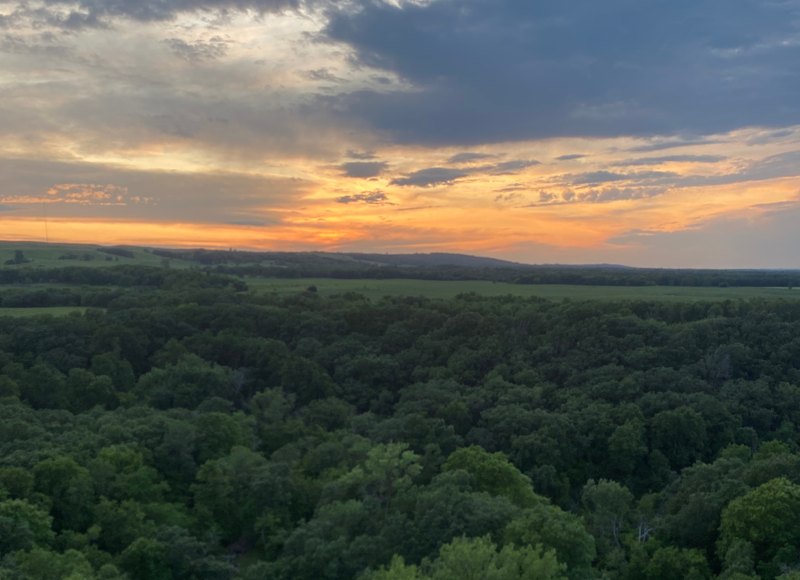 People gathered together in an arae celebrating