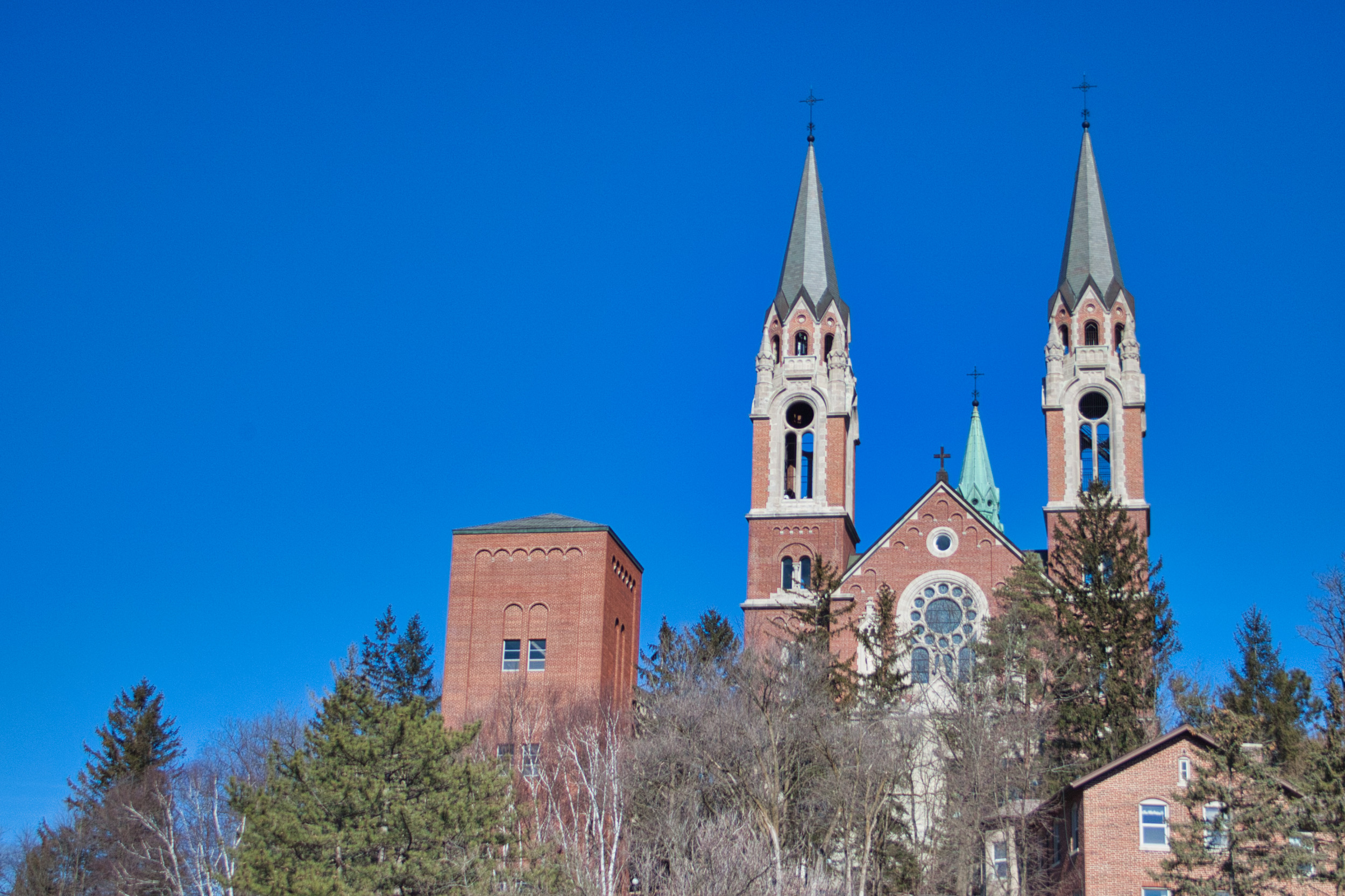 The catherdrail of st gaudlaupe