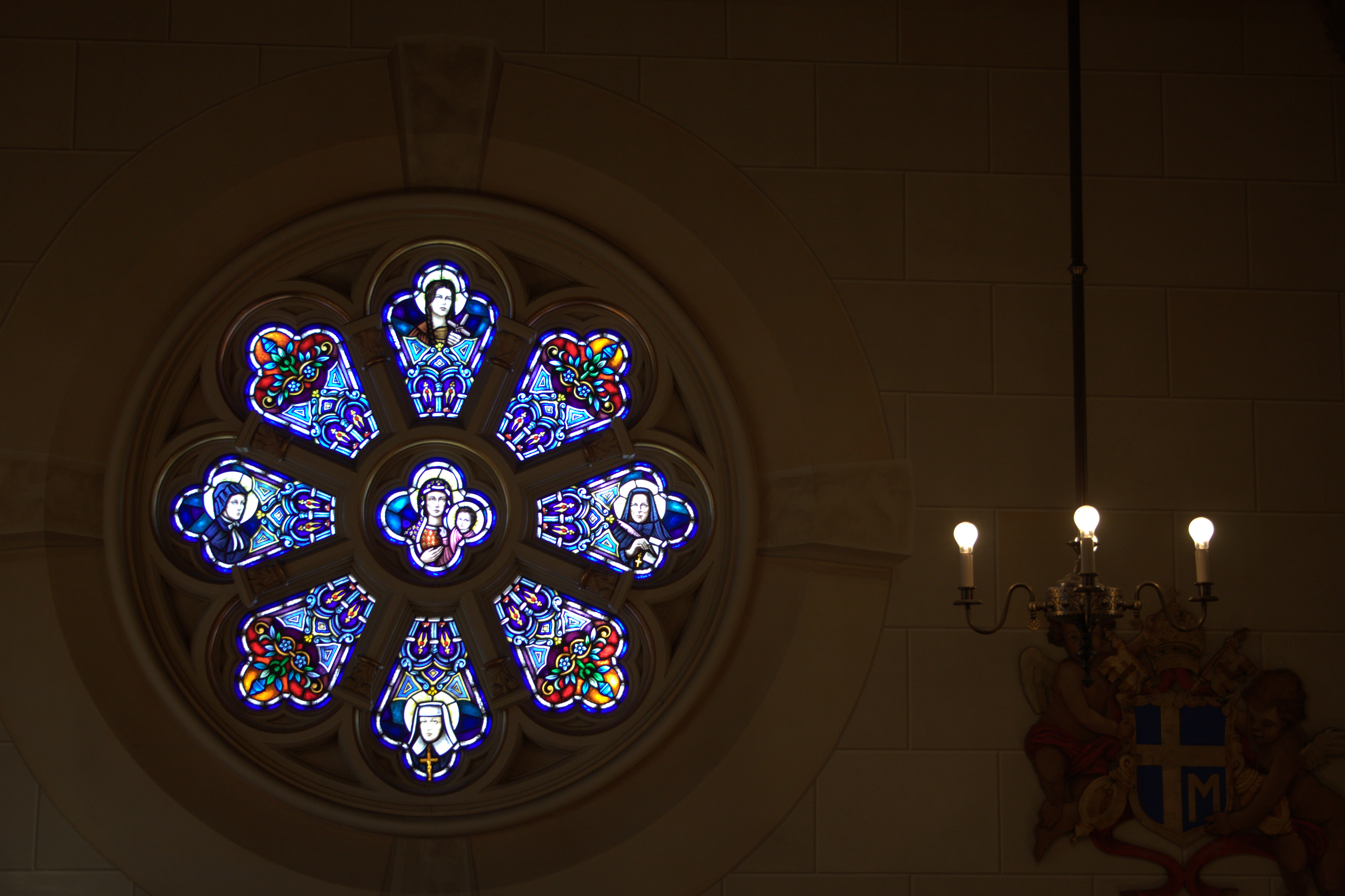 A path of grren flowers with the sunn in abyss